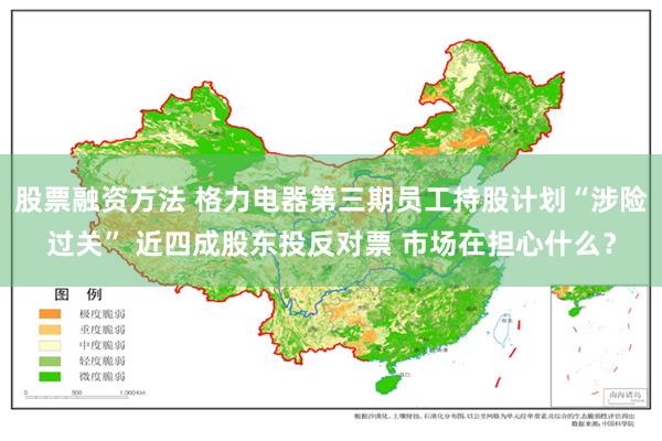 股票融资方法 格力电器第三期员工持股计划“涉险过关” 近四成股东投反对票 市场在担心什么？