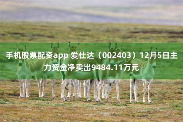 手机股票配资app 爱仕达（002403）12月5日主力资金净卖出9484.11万元