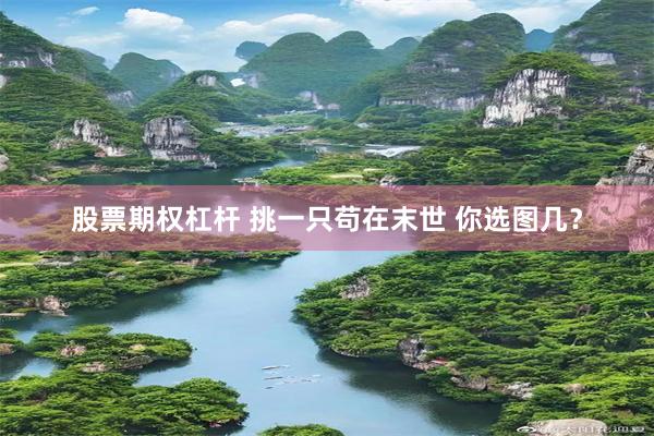 股票期权杠杆 挑一只苟在末世 你选图几？