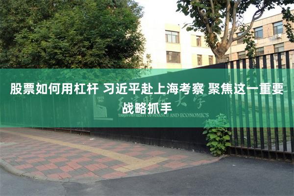股票如何用杠杆 习近平赴上海考察 聚焦这一重要战略抓手