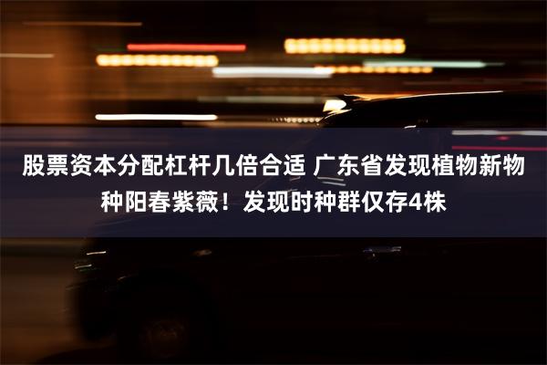 股票资本分配杠杆几倍合适 广东省发现植物新物种阳春紫薇！发现时种群仅存4株