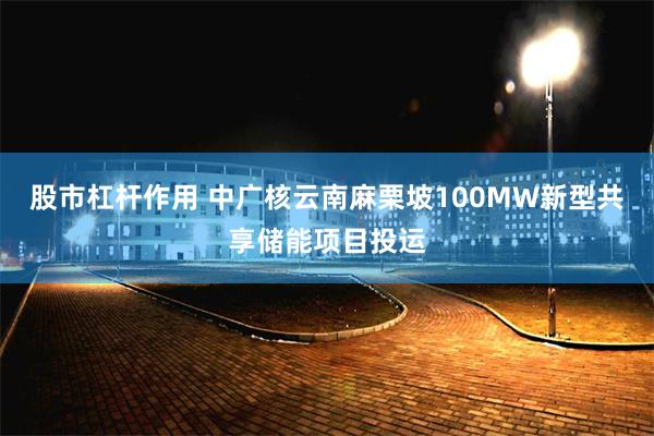 股市杠杆作用 中广核云南麻栗坡100MW新型共享储能项目投运