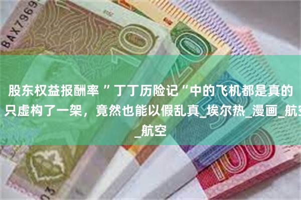 股东权益报酬率 ”丁丁历险记“中的飞机都是真的，只虚构了一架，竟然也能以假乱真_埃尔热_漫画_航空