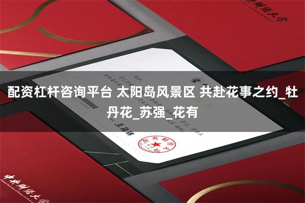 配资杠杆咨询平台 太阳岛风景区 共赴花事之约_牡丹花_苏强_花有