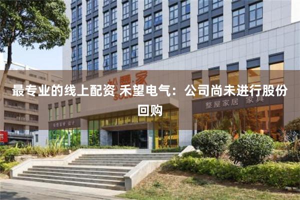 最专业的线上配资 禾望电气：公司尚未进行股份回购