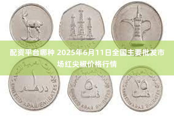配资平台哪种 2025年6月11日全国主要批发市场红尖椒价格行情
