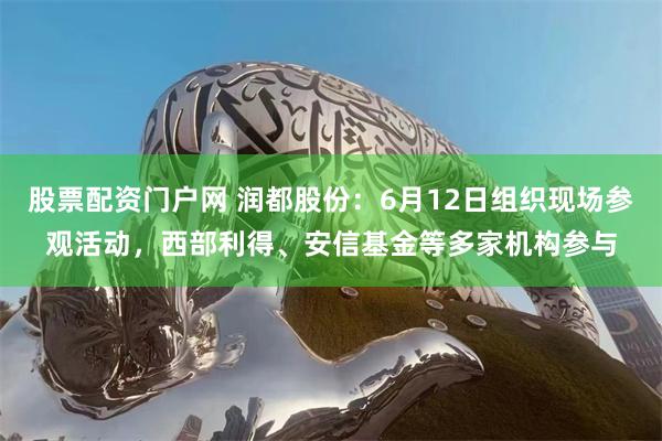 股票配资门户网 润都股份：6月12日组织现场参观活动，西部利得、安信基金等多家机构参与