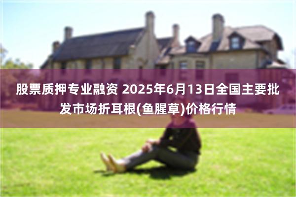 股票质押专业融资 2025年6月13日全国主要批发市场折耳根(鱼腥草)价格行情