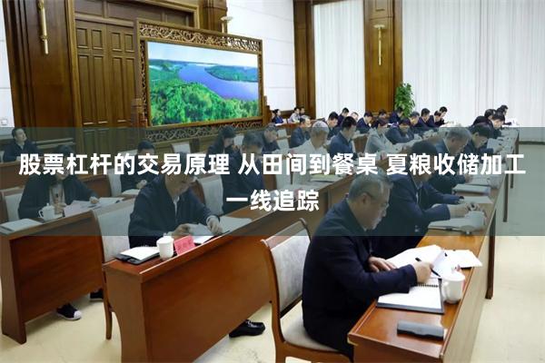 股票杠杆的交易原理 从田间到餐桌 夏粮收储加工一线追踪