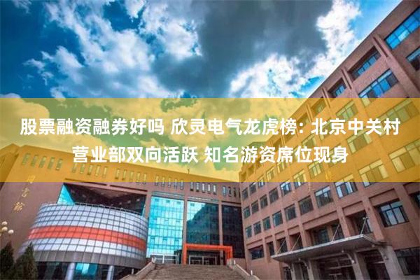 股票融资融券好吗 欣灵电气龙虎榜: 北京中关村营业部双向活跃 知名游资席位现身