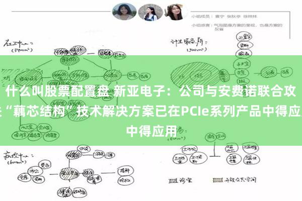什么叫股票配置盘 新亚电子：公司与安费诺联合攻关“藕芯结构”技术解决方案已在PCIe系列产品中得应用