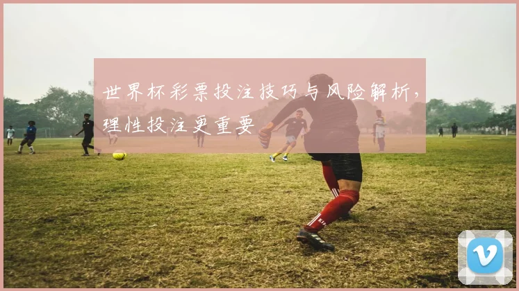 世界杯彩票投注技巧与风险解析，理性投注更重要