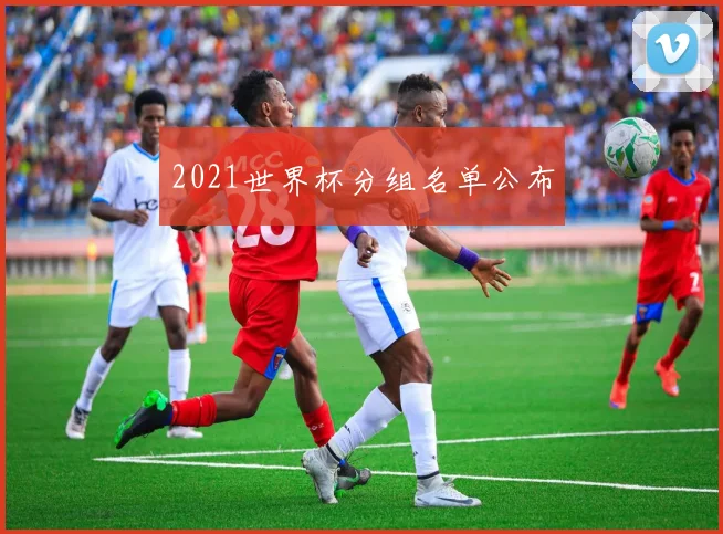 2021世界杯分组名单公布