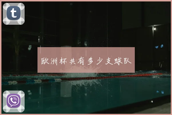 欧洲杯共有多少支球队
