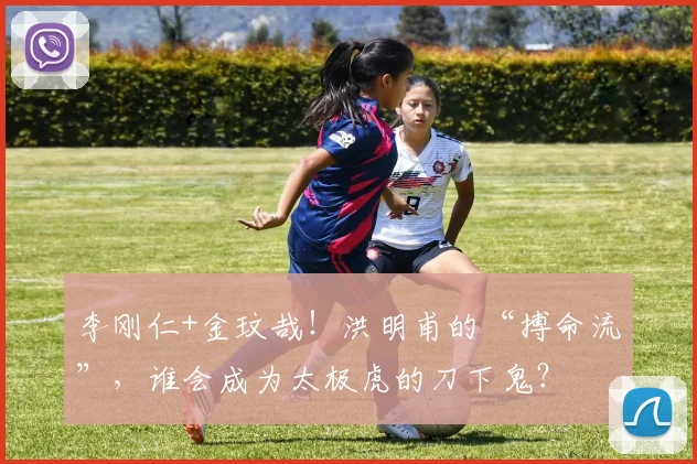 李刚仁+金玟哉!洪明甫的“搏命流”,谁会成为太极虎的刀下鬼?