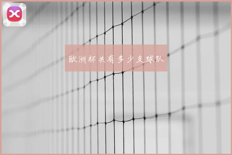 欧洲杯共有多少支球队