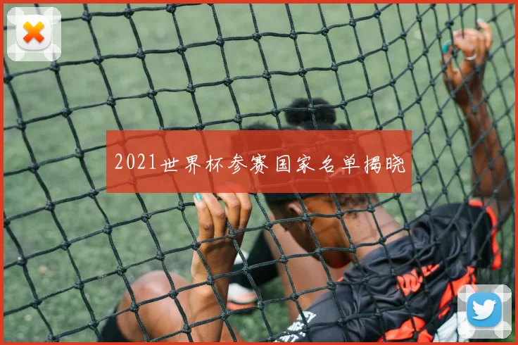 2021世界杯参赛国家名单揭晓