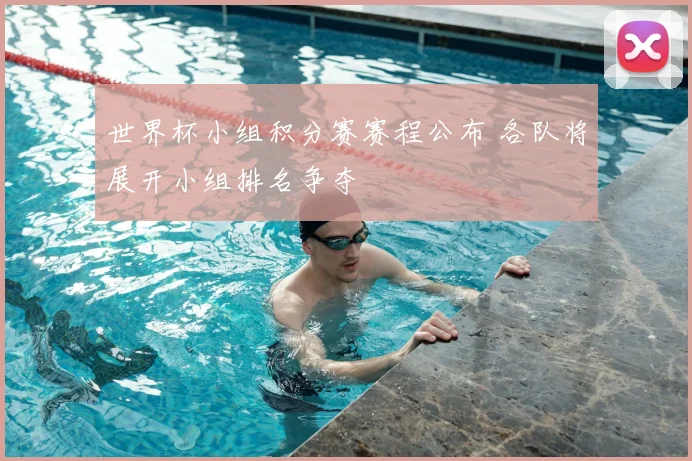 世界杯小组积分赛赛程公布 各队将展开小组排名争夺