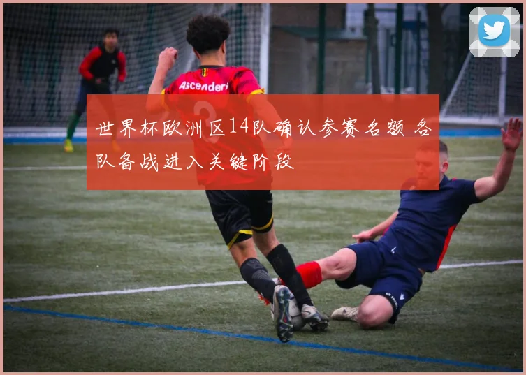 世界杯欧洲区14队确认参赛名额 各队备战进入关键阶段