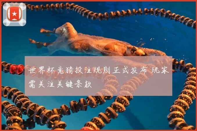 世界杯竞猜投注规则正式发布 玩家需关注关键条款